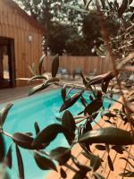 Villa bois avec piscine - Ferienwohnung Arès