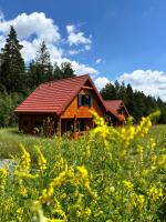 Okno na las - B&B