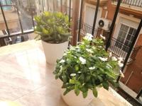 Céntrico Apartamento Vara de Rey - B&B