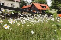 Apartment Alm View, im Oberharz - Chambres d’hôtes