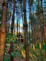 Paprotka Dom i las - B&B