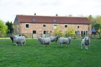 Luxury Barn with sauna near York welcoming families, friends, groups - Chambres d’hôtes York