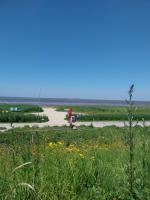 FW Steingraf Waldblick - Ferienwohnung Stickenbüttel