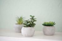 Doppelzimmer mit Bergblick