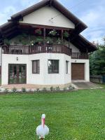 Casa Iuliana Camelia - Bed and Breakfast