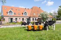 Blaarkop Bullekroffie - B&B Oudesluis