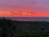 Sea Winds 40 Oceanfront Delight - Bed and Breakfast Saint Augustine