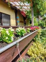 Pokoje Gościnne Iza - Ferienwohnung Parszczyce