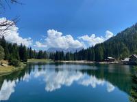 Palazzo Tof - Ferienwohnung Bocenago