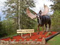 Domaine le Bostonnais - Le Village en Bois Rond - Chambres d'hôtes La Tuque