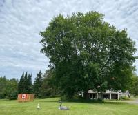 Our Place Up North BnB - Bed and Breakfast