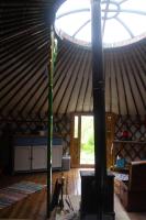 Crazy Pheasant - North Wales - Luxury Mongolian Yurt and Hot Yub - Seclusion and Privacy - Digital Detox - Chambres d'hôtes Mold