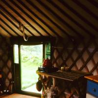 Crazy Pheasant - North Wales - Luxury Mongolian Yurt and Hot Yub - Seclusion and Privacy - Digital Detox - Chambres d'hôtes Mold