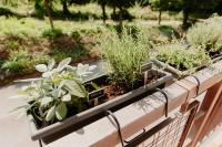 14K Green House Peschiera del Garda, 5min da Gardaland - B&B Castelnuovo di Garda