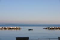 Suite con vistas al mar