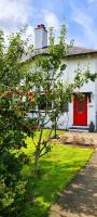 Awelfa a peaceful cottage in the Cambrian mountains - B&B