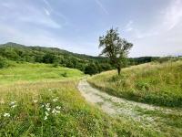 casAnita - B&B Sassello