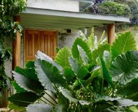 Casa Salvaje Vacation Rentals - Bed and Breakfast Bocas del Toro
