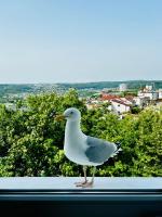 Cliff Apartment Redłowo - B&B Gdynia