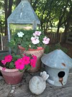 L'envie d'ailleurs - Bed and Breakfast Malmedy