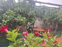Grazia's Home - B&B