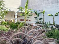 Two-Bedroom Apartment with Garden View