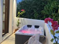 Appartamento con 1 Camera da Letto e Terrazza