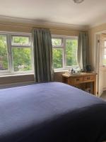 Habitación Superior con cama extragrande