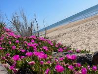 Residence du Grand Large - Bed and Breakfast Marseillan