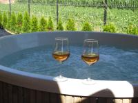 Bucovina Exclusiv - B&B Vama