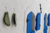 FICO D'INDIA - B&B Peschici