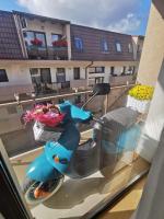 Funkadelic Retreat Transylvania, private room&bath in shared apartment with host&cat - B&B