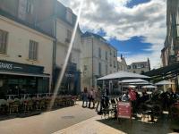 Tropical & cosy - Vieux Tours - B&B