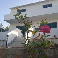 Beach front with terrace and see view Aprtment MARE - B&B Ždrelac