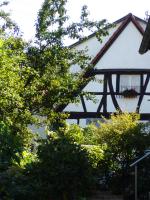 Ferienhaus 1534 - B&B Neustadt an der Weinstraße