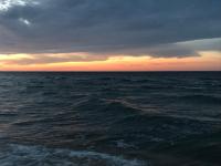 Kompassrose - Bed and Breakfast Ostseebad Prerow