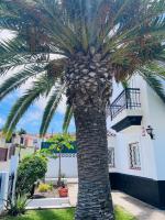 Casa Mesa del Mar Tenerife - B&B Tacoronte
