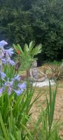 Le chant des oiseaux - Bed and Breakfast