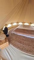 Deluxe Double or Twin Room with Balcony
