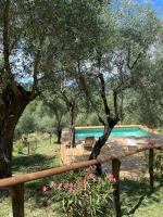 Podere Il Piantoneto - Ferienwohnung
