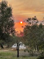Bellissima Bell Tent - Romantic Glamping Retreat in Nature - Bed and Breakfast Tortosa