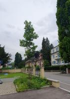 Romantisches Studio in der City Luzern Yellow - Bed and Breakfast