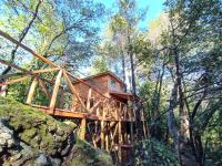 Cabañita Del Árbol Concón - Chambres d'hôtes Las Trancas