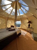 Tent III