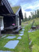 Cozy family cabin with stunning location on Golsfjellet - B&B Golsfjellet
