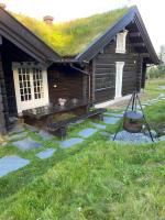 Cozy family cabin with stunning location on Golsfjellet - B&B Golsfjellet