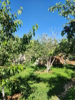 Guesthouse Koguchkon - B&B Kara-Talaa