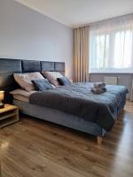 Apartament na Polnej - B&B Chełmno