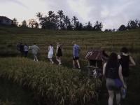 Green Ponci Retreat By Balitrees - B&B Selemadeg