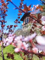 Weinberghaus - Wohnen im Weinberg in der Toskana des Nordens - B&B Freyburg